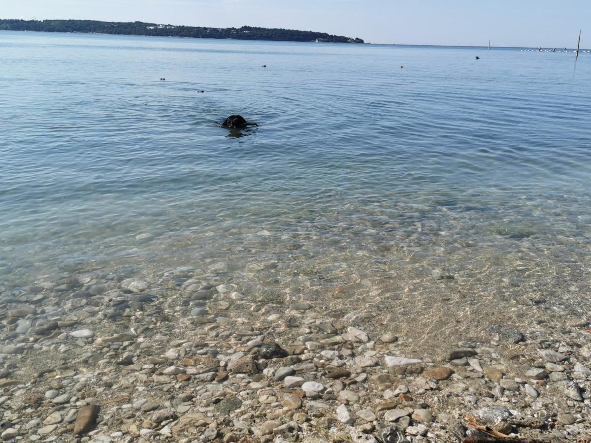 Mirta Deluxe Superior 5 Star Apartment, Your Piece Of Heaven By The Sea & Park, With Sea & Park View Novigrad Istria Buitenkant foto
