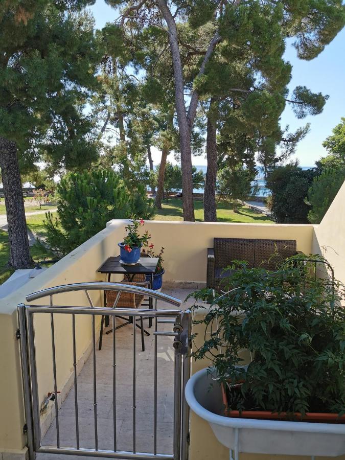 Mirta Deluxe Superior 5 Star Apartment, Your Piece Of Heaven By The Sea & Park, With Sea & Park View Novigrad Istria Buitenkant foto
